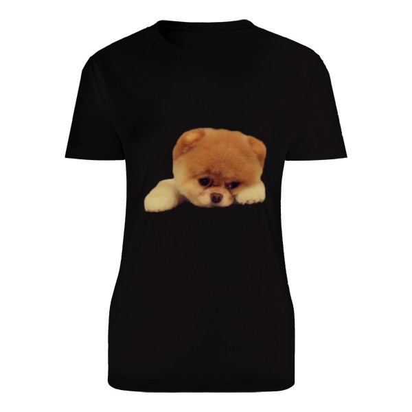 Tričko s potiskem Pomsky štěně